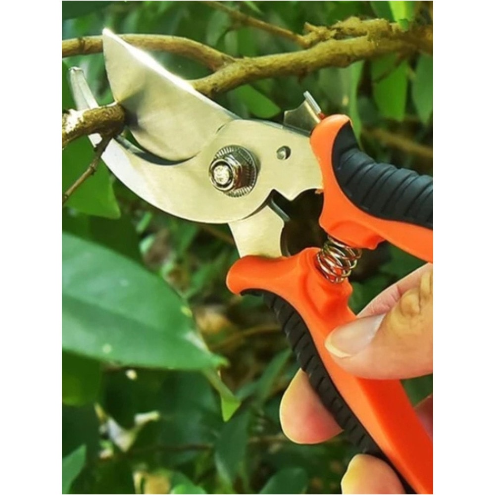 Imagem do Tesoura De Poda Super Afiada Para Jardim E Jardinagem Profissional Aco